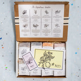 THE KOPA KAUAI SAMPLER - 8 Classic soaps